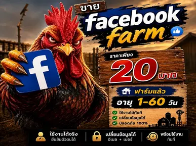 ซื้อ ขายเฟสไก่FARM ราคาถูกสุด 1-60วัน - YINGADS