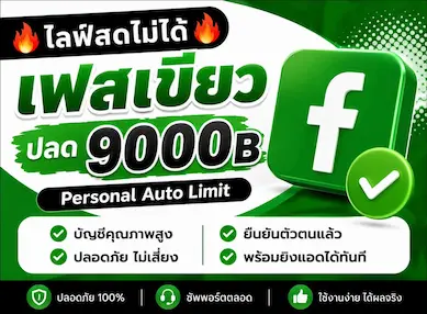 ซื้อ 🔥ไลฟ์สดไม่ได้🔥เฟสเขียว ปลด 9000B Personal Auto Limit - YINGADS